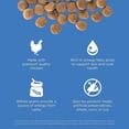 thumbnail image 4 of GO! SOLUTIONS SKIN + COAT CARE Chicken Recipe for dogs, 4 of 5