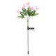 thumbnail image 1 of Solar Lily Flower Lights Walkway Garden Outdoor Plastic Waterproof Pink Lighting 1Pack, 1 of 4