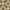 Beige/Cream, variant on SAFAVIEH Beach House Theo Geometric Indoor/Outdoor Area Rug Light Grey/Charcoal, 5'3" x 7'6"