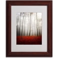 thumbnail image 2 of Trademark Fine Art "Leafless" Canvas Art by Philippe Sainte-Laudy, Wood Frame, 2 of 3