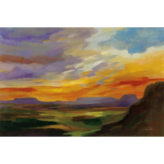 Art.com Sonoran Desert Sunset Art Print by Silvia Vassileva, 24" x 16"