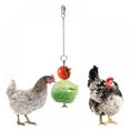 thumbnail image 3 of 3PCS Chicken Xylophone Toy, Suspensible Wooden Chicken Toys for Hens Chicken Stand Toy, Chicken Vegetable Hanging Feeder Chicken Veggies Skewer Fruit Holder, 3 of 8