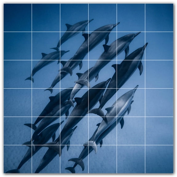Picture-Tiles.com: Dolphin Ceramic Tile Wall Mural WAL500509-66XL. 72"W x 72"H using (36) 12" x 12" Ceramic Tiles-Satin Finish