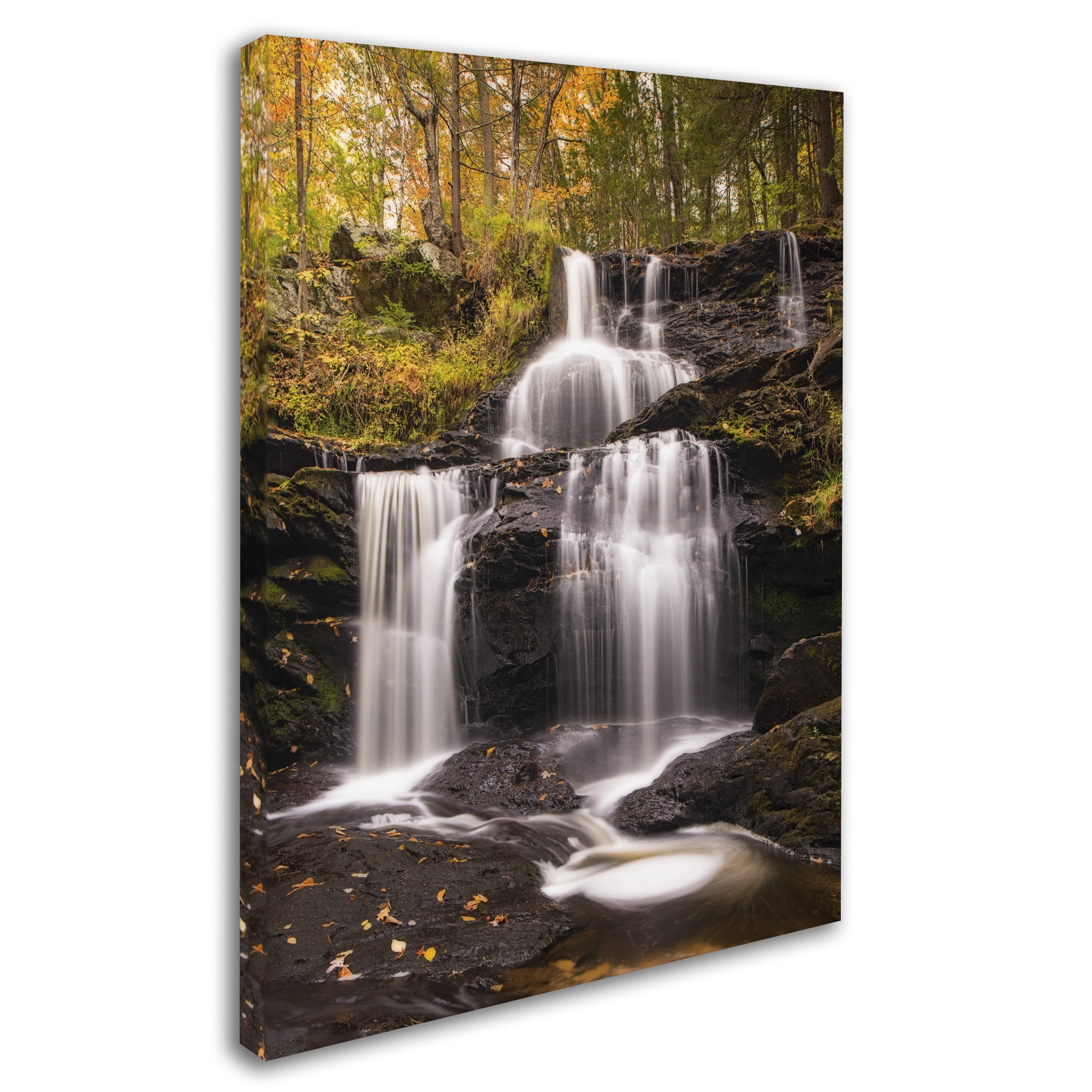 Michael Blanchette Photography 'Autumn Horsetails' Canvas Wall Art 35 x 47 Inches