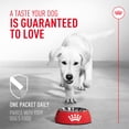 thumbnail image 3 of Suplemento de probióticos Royal Canin para la salud digestiva de los perros, 3 of 7