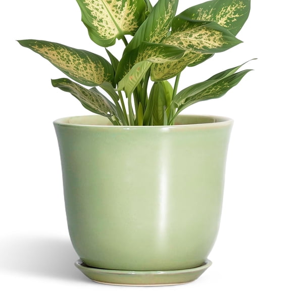Ordivic 6 inch Green Ceramic Plant Pot with Saucer & Drainage Hole,Small Indoor Decorative Planter for Snake Plant,Pothos,Office Desk,Kitchen Counter