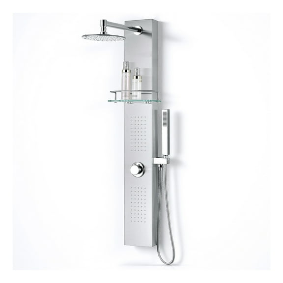 Coastal Series 44 in. 2-Jetted Full Body Shower Panel System in Brushed Steel with Heavy Rain Showerhead and Spray Wand