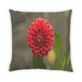 thumbnail image 2 of Ahgly Company Plants Flower Indoor Throw Pillow, 18 inch by 18 inch, 2 of 6