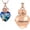 Customize, variant on Crystal Rose Flower Urn Necklace for Ashes for Women Men Birthstone Heart Urn Cremation Jewelry for Ashes Memory Keepsake Urn Necklace Gift