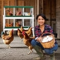 thumbnail image 3 of Qinaqin 6- cm de Alturaole Verde Chicken Nesting Caja con Soporte y Legs Metálico Roll-Away Eggs Laying Cajas Perch Versatile Anchoall-Mount para Chickens, 3 of 7