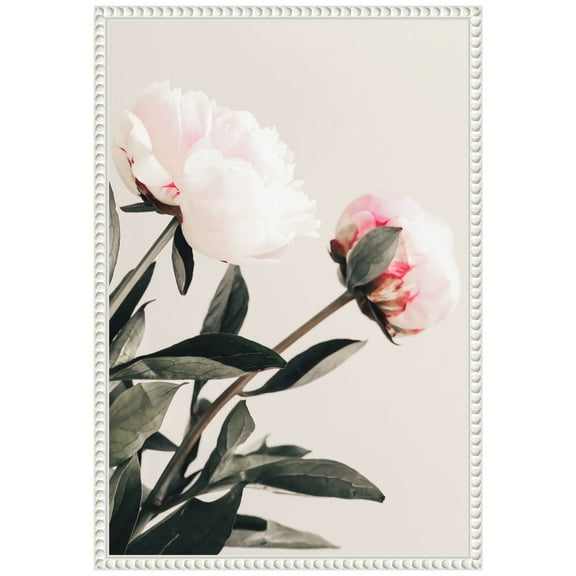 Amanti Art Peony 23 Framed Canvas Wall Art Print