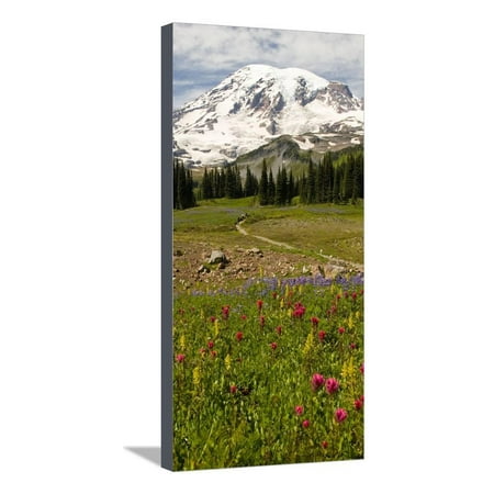 Alpine Wildflowers, Mt. Rainier National Park, Washington State, USA Stretched Canvas Print Wall Art By Stuart