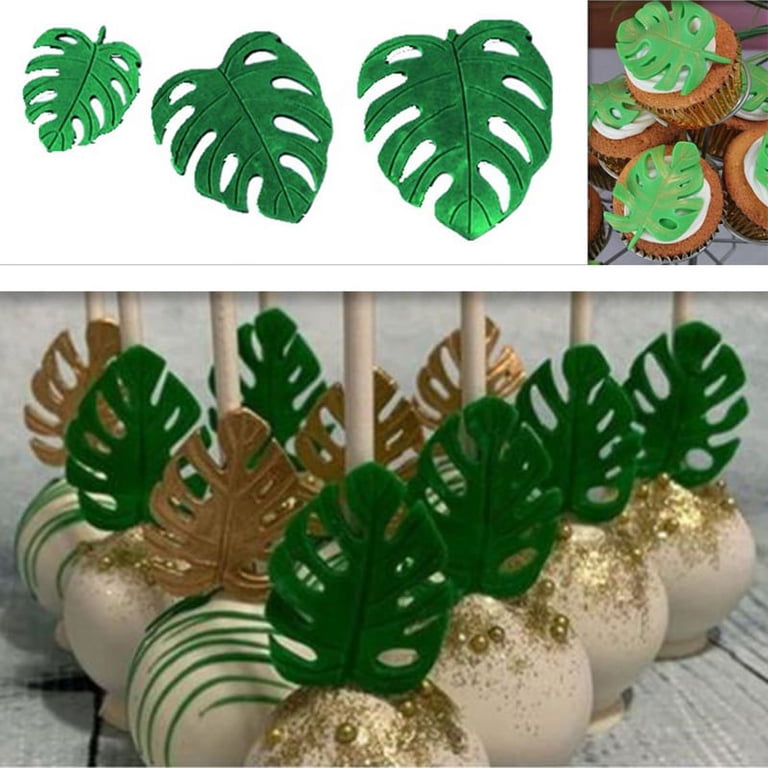 ring of fire philodendron varieties Ring of Fire Plant