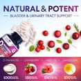 thumbnail image 4 of D-Mannose Supplement - 1,000mg D Mannose Per Serving with Cranberry, Hibiscus & Dandelion - Fast-Acting, Natural Urinary & Bladder Support for Women & Men – Flush & Cleanse Impurities – 180 Capsules, 4 of 10