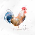 thumbnail image 3 of style Aquarelle Coq - Toile 24"x24 Pouces - Impression à la Demande, 3 of 5