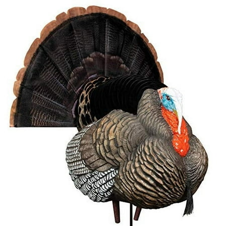 Higdon Outdoors Apex Full Strut Tom Turkey Decoy with Magnetic Removeable Fan for Turkey Hunting