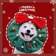 thumbnail image 5 of Sombrero verde de Papá Noel para mascotas, gorro navideño, gorro de reno para cachorro, gorro ajustable para árbol de Navidad, diadema para perro, bonitos accesorios para cabeza de perro pequeño., 5 of 5