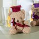 thumbnail image 3 of Dr. Bear Cute Plush Toy Doll Kindergarten Gifts Graduation Gifts Plush Doctor Teddy Bear Hanging Bag Charm Key Ring Holder, 3 of 5