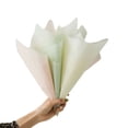 thumbnail image 4 of Advancent Embalaje de regalo de 20 piezas, papel impermeable, amplia gama de usos, tamaño adecuado, Color, ramo de floristería Almacenamiento y organización del hogar Verde agua polvorienta, 4 of 6