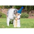 thumbnail image 3 of ¡Busca a Ball Chuckit! Cumpleaños para perros de tamaño mediano de 9 a 27 kg, 3 of 5