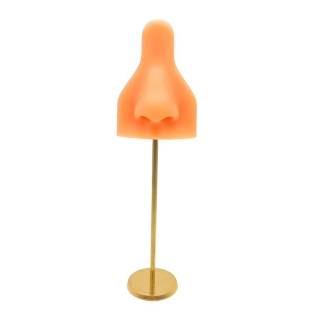 Piezas de práctica de perforación, nariz de silicona, herramienta de enseñanza de maniquí, silicona suave Color de piel