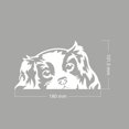 thumbnail image 2 of Wirester - Adhesivo De Vinilo Transparente Para Decoración De Ventana De Coche (O Cualquier Superficie Plana), 6.0 In, Diseño De Perro Cavalier King Charles Spaniels, 2 of 5