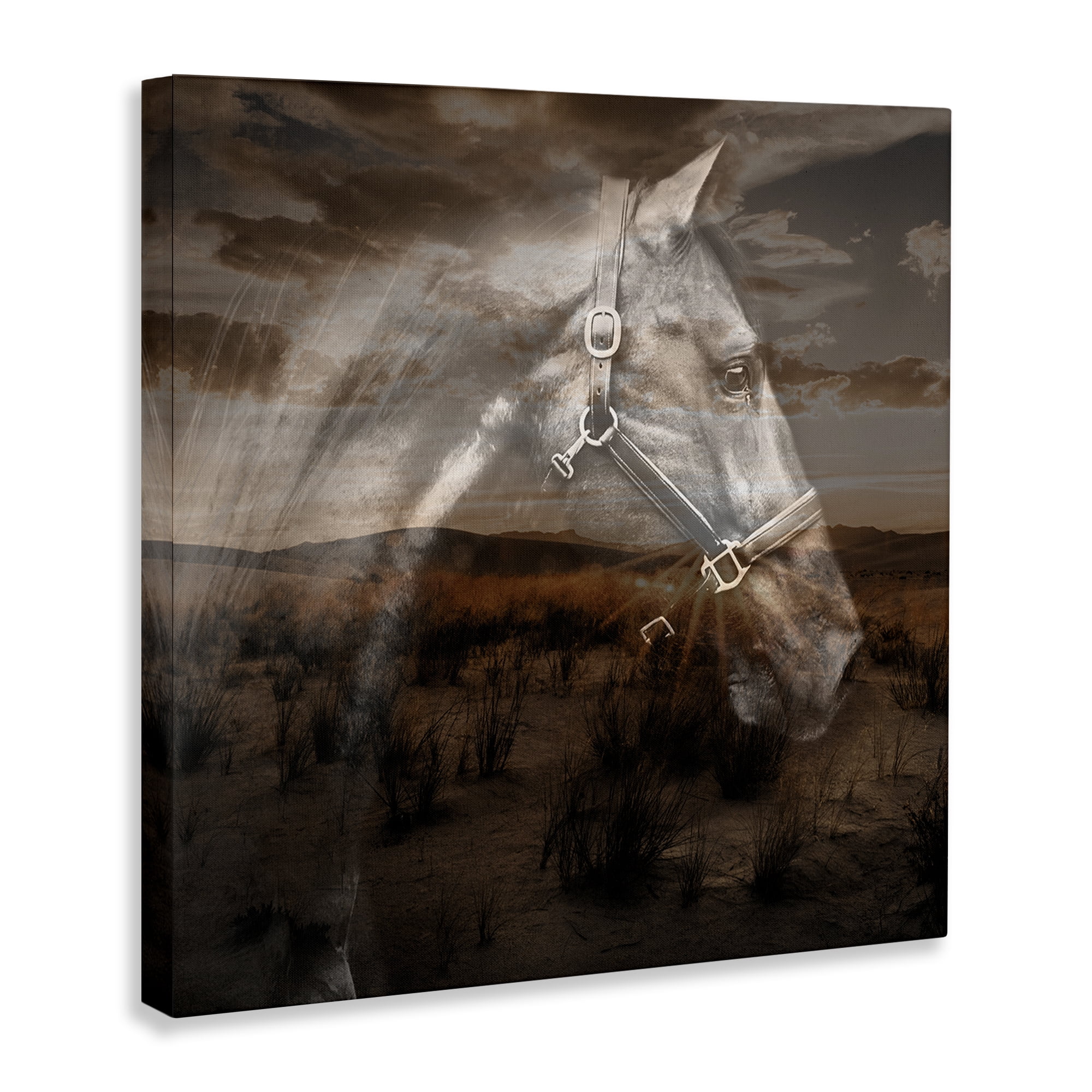 Stupell Industries Horse over Nature Visage Animals Painting Wrapped Canvas Art Print Wall Art, 17 x 17