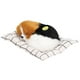 thumbnail image 2 of Muñeco de perro de simulación Jadeshay con sonido Juguete de peluche para perro diseño A prueba de futuro, 2 of 8
