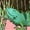 Mauve with Speckles, variant on Cute Lizards Hanging out Girls Baby Dress