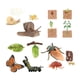 thumbnail image 5 of Juguetes educativos sobre el ciclo de vida, material didáctico preescolar, ciencias de la vida para jardín de infancia Estilo C, 5 of 9