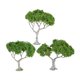 thumbnail image 5 of 3 piezas de árboles en miniatura para mesa de arena, modelos de árboles para decoración de jardín de hadas árbol de hoja ancha, 5 of 9