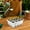 A, variant on Seed Starter Trays 12 Cells Seed Starter Tray,Thick Durable Seedling Plastic Nursery Trays Seedling Starter Trays Works with Standard