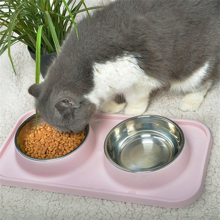 Cat water bowl outlet walmart