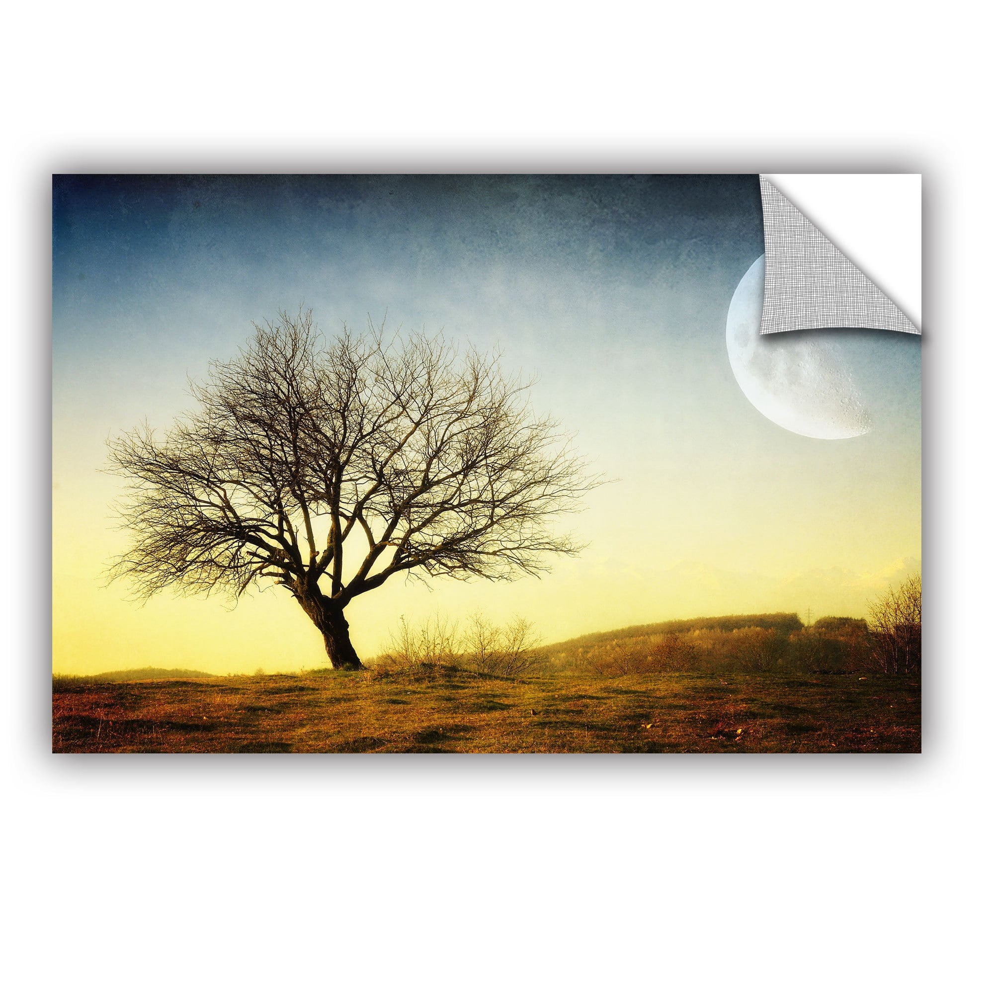 ArtAppealz Dragos Dumitrascu "Solitude" Removable Wall Art