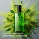 thumbnail image 4 of Aceite limpiador desmaquillante shu uemura AntiOxi+ 50 ml, 4 of 6