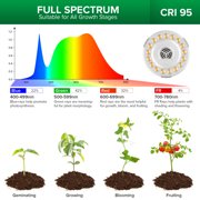 SANSI 4-Head Dimmable Grow Light, 35-64 Tripod, Remote/Timer, 4x10W PAR20 Bulbs for Indoor Plants