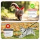 thumbnail image 5 of Uxcell 2-Pack Arnés y Correas Ajustables para Mascotas, Cuerda de Entrenamiento de Nylon para Perros/Patos [Verde/Rosa, Tamaño S], 5 of 7