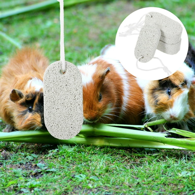 Guinea Pig Best Chew Toys For Rats Hareemi 5Pcs Hamster Rat Teeth