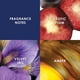 thumbnail image 3 of Perfume Britney Spears Midnight Fantasy Eau de Parfum, 50 ml, 3 of 4
