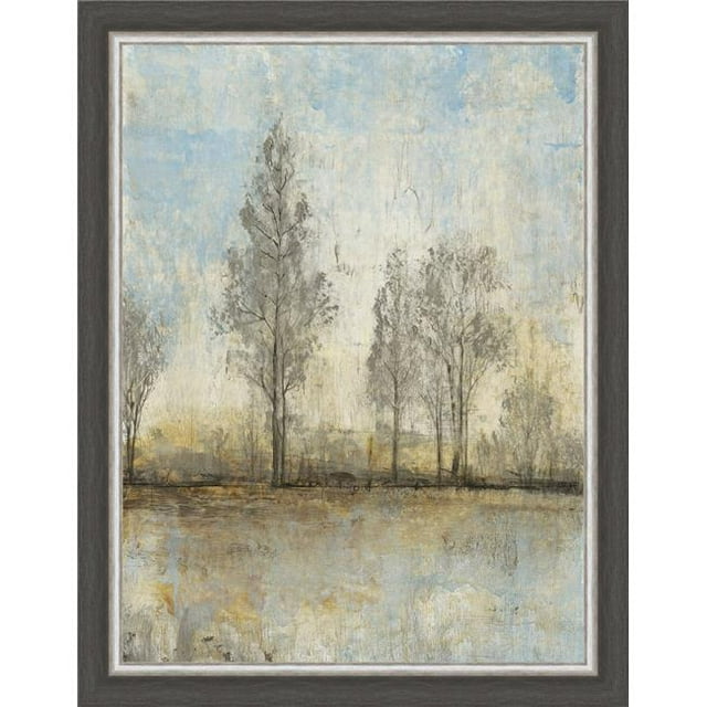 Somerset House Publishing 7093 36,5 x 28,5 Po Nature Calme II&44; Impression Fine Art Texturée Encadrée - Gris & Argent