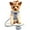 Blue, variant on Didog Small Dog Harness & Leash & Treat Bag set Front Clip Soft Pet Puppy Cat Vest