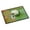 Day Of The Dead Green Skull, variant on Day of the Dead Teal Skull Doormat 18x27