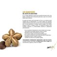 thumbnail image 2 of HAIR MX ACEITE OLEOS MULTIFUNCIONAL REPARADOR, 2 of 7