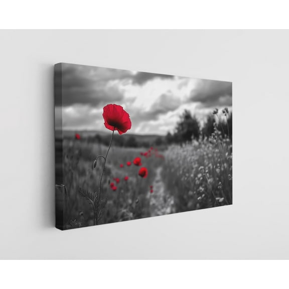 Red Flower on Black and White Background Canvas Wall Art - High-Quality Floral Print - Handcrafted Modern Decor - Stylish Wall Art - Gift for Home or Office