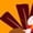 Orange turkey, variant on Women's Festives Socks with Thanksgiving Themes Turkeys Pumpkins Maple Pattern Men's Cotton Middle Tube Socks