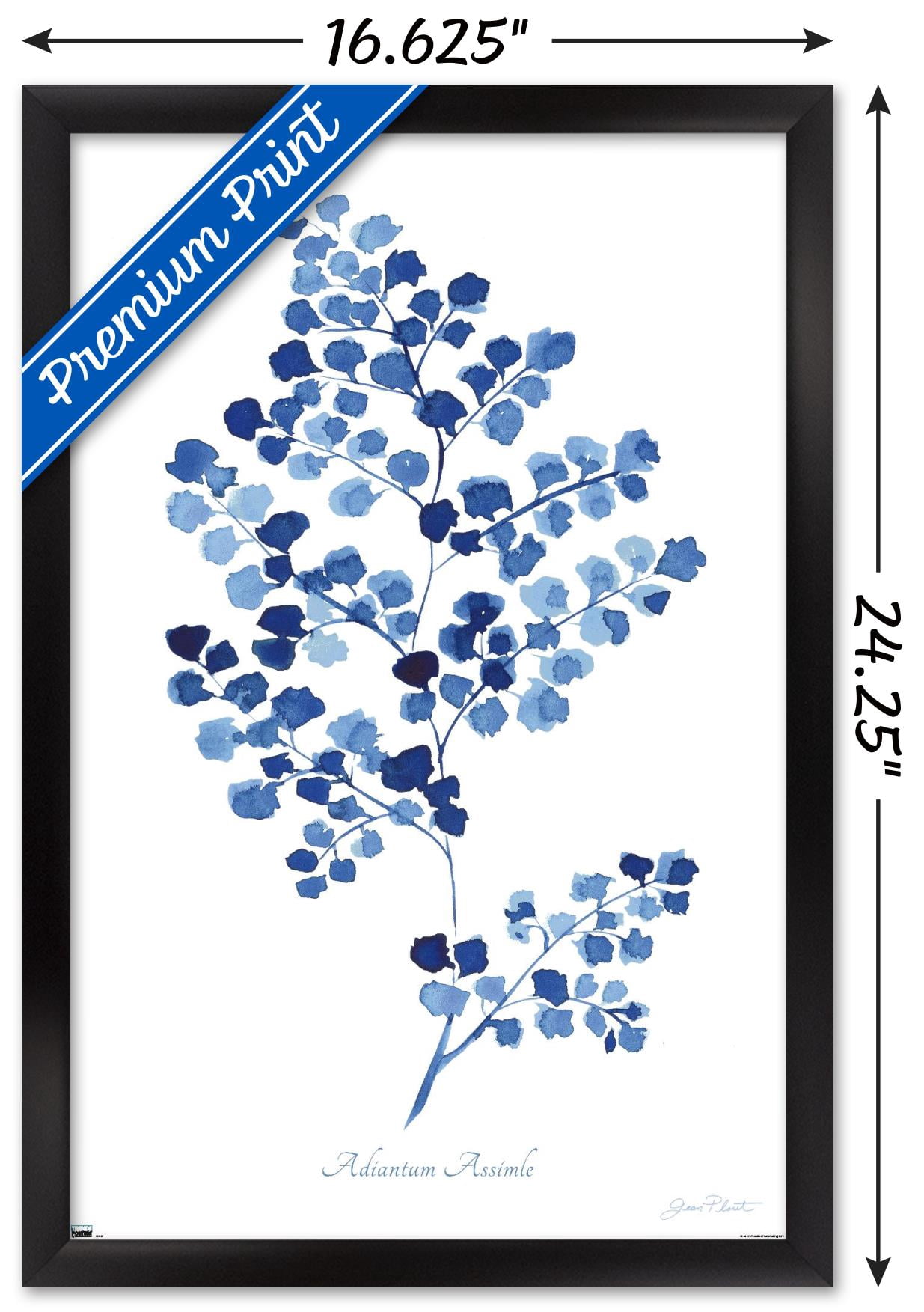 Jean Plout - Indigo Botanical Adiantum Assimle Wall Poster, 14.725" x 22.375" Framed