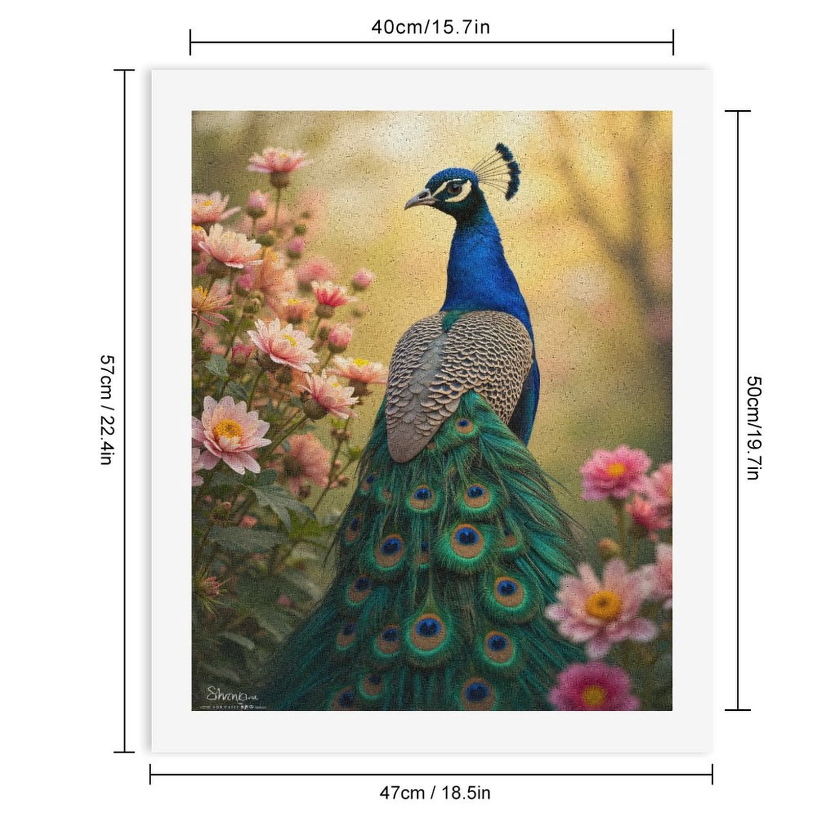 Paint by Numbers Kit for Adults, Peacock Among Floral Blooms Paint by Numbers, Easy Paint by Numbers Kit for Adults Beginner, DIY Adult Paint by Number Kits on Canvas, 12x16in Home Decor