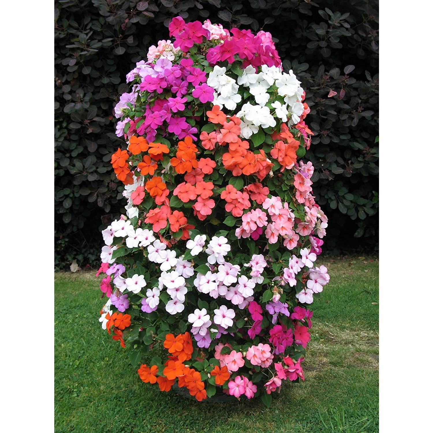 Apollo Exports International 36” x 10” x 36” Vertical Black Plastic Planter (3 Count)