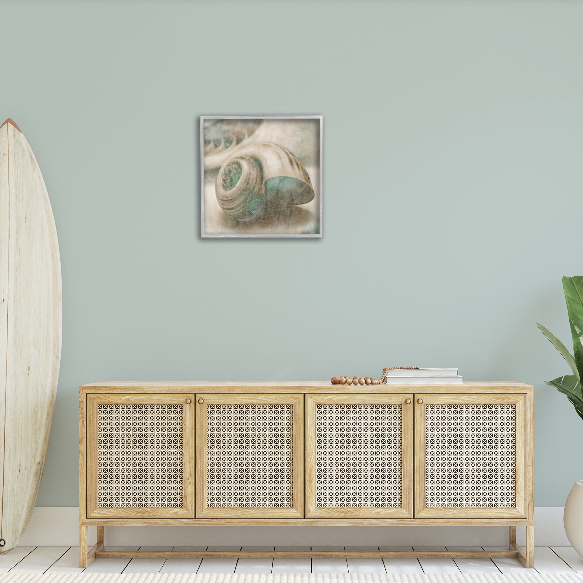 Stupell Industries Centered Sharkeye Seashell Nature Photography Gray Framed Art Print Wall Art, 24 x 24