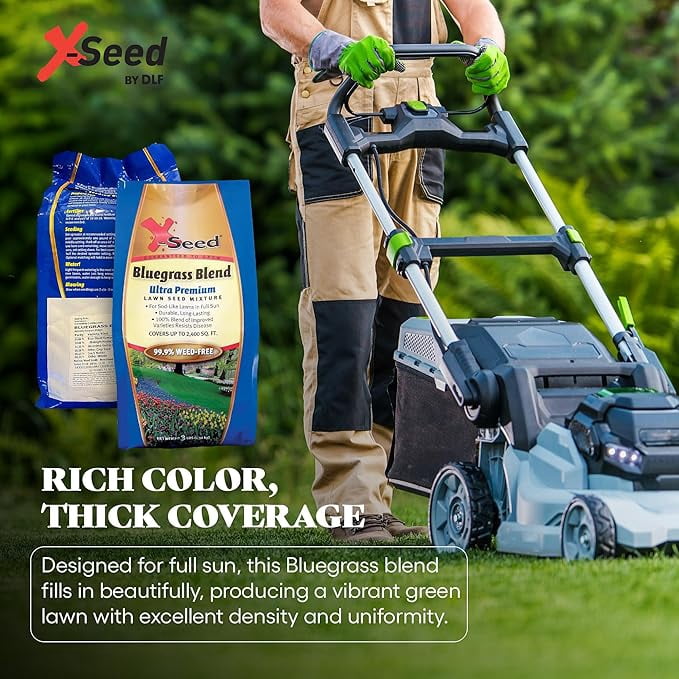 X-Seed Bluegrass Lawn Seed Blend with 4Most Seed Enhancement by DLF - Fast-Growing, Drought-Tolerant,Cool-Season Grass Seed for Thick, Green Lawns, 3 lbs.Covers up to 4,900 sq. feet, 99.9% Weed Free